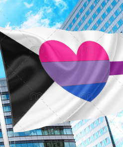 Biromantic Demisexual Flag PN0112 2x3 ft (60x90cm) / 2 Grommets Left Official PAN FLAG Merch