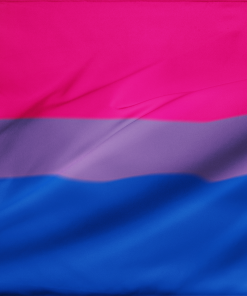 Bisexual Pride Flag - Bi Flag PN0112 2 - Lesbian Flag 2x3ft (60x90cm) / No Grommets Official PAN FLAG Merch