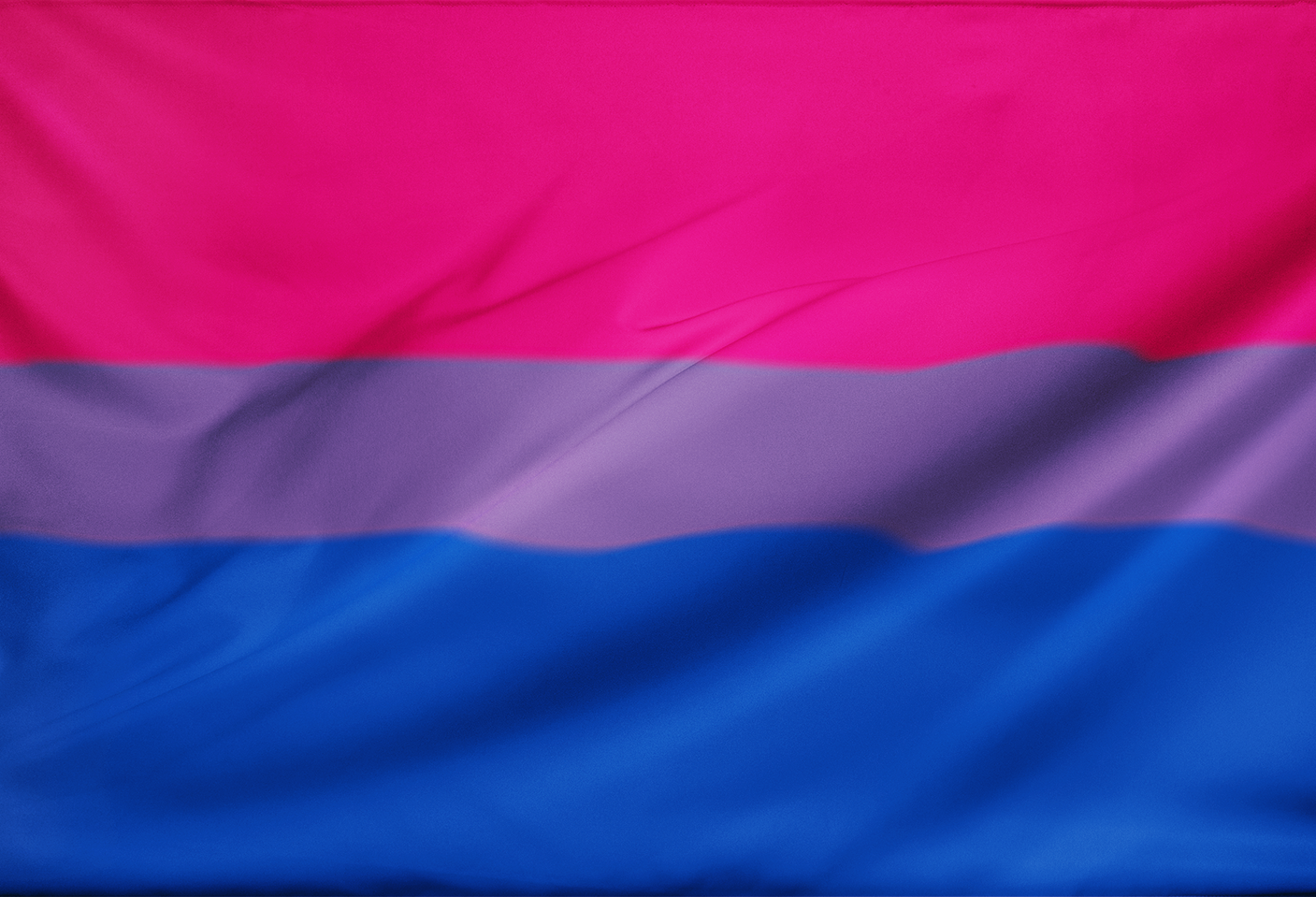bisexflag 2x3ft (60x90cm) / No Grommets Official PAN FLAG Merch