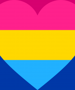 2x3 ft(60x90 cm) / 4 Grommets Official PAN FLAG Merch