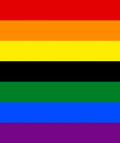 Black Gay Pride Flag PN0112 2x3 ft (60x90 cm) Official PAN FLAG Merch