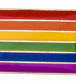 LGBT Pride Flags Enamel Pin Set (10pcs) PN0112 9 - Lesbian Flag Polyamorous Pride Official PAN FLAG Merch