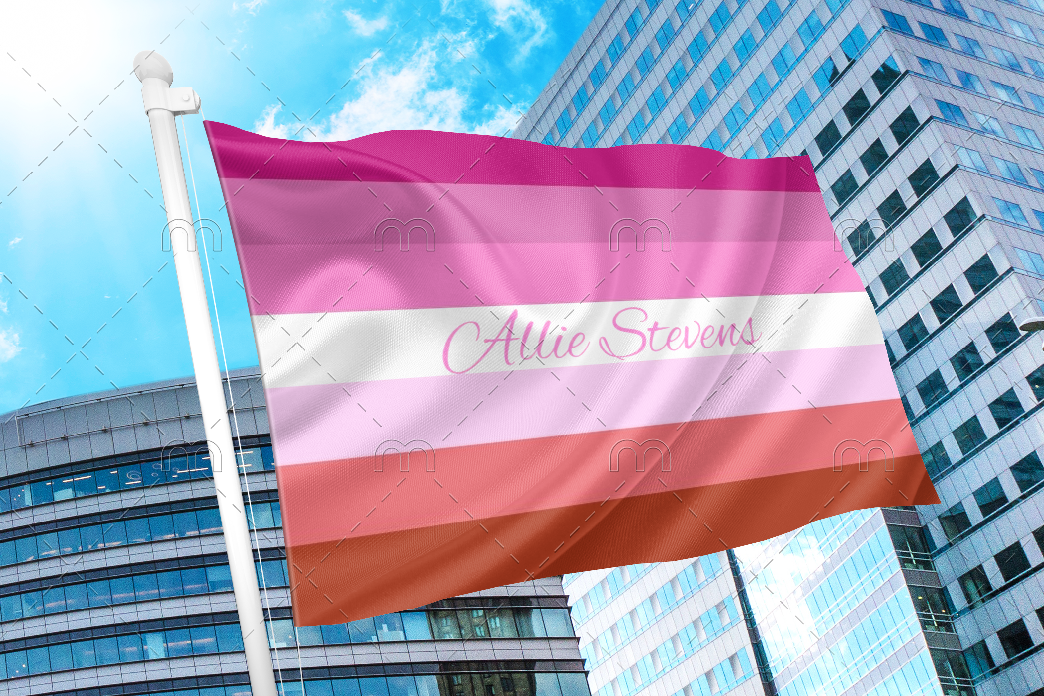 cus1 Personlized Lesbian Flag PN0112 2x3ft (60x90cm) Official PAN FLAG Merch