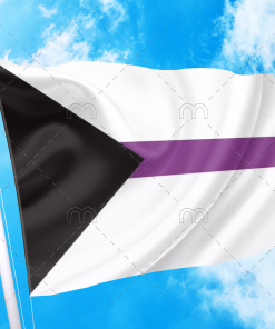 Demisexual Pride Flag PN0112 2 - Lesbian Flag 2x3 ft (60x90cm) / No Grommets Official PAN FLAG Merch
