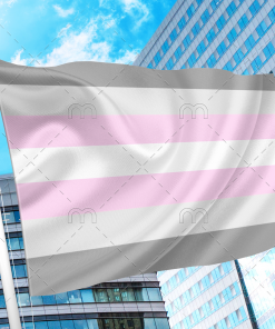 Demigirl Pride Flag PN0112 2x3 ft (60x90 cm) / 2 Grommets left Official PAN FLAG Merch