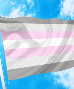 Demigirl Pride Flag PN0112 2 - Lesbian Flag 2x3 ft (60x90 cm) / No Grommets Official PAN FLAG Merch