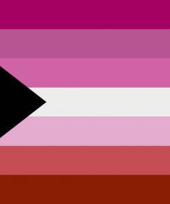 2x3ft (60x90cm) / No Grommets Official PAN FLAG Merch