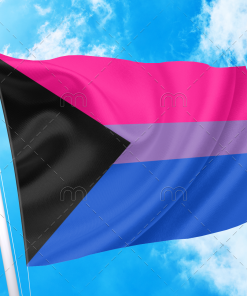DemiBisexual Pride Flag PN0112 2 - Lesbian Flag 2x3 ft(60x90 cm) / Demibisexual / No Grommets Official PAN FLAG Merch