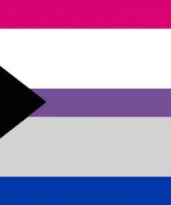 DemiBisexual Flag PN0112 2x3 ft (60x90xm) / 2 Left Grommets Official PAN FLAG Merch