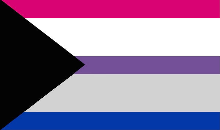 demibisexual1 DemiBisexual Flag PN0112 2x3 ft (60x90xm) / 2 Left Grommets Official PAN FLAG Merch