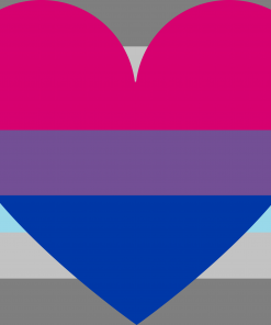 DemiBisexual Pride Flag PN0112 3 - Lesbian Flag 3x5 ft(90x150 cm) / Demibisexual / 2 Grommets left Official PAN FLAG Merch