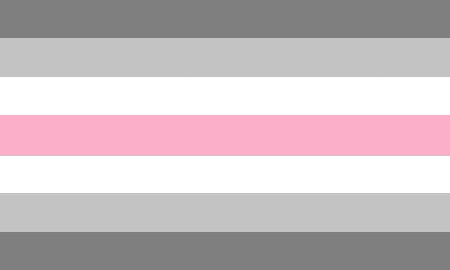 demifem Demifem Pride Flag PN0112 2x3 ft (60x90cm) / 2 Grommets Left Official PAN FLAG Merch