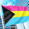 Demisexual Panromantic Pride Flag PN0112 2x3 ft (60x90 cm) Official PAN FLAG Merch