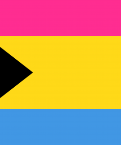 3x5 ft (90x150 cm) Official PAN FLAG Merch