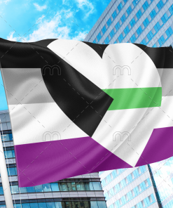 Demiromantic Asexual Pride Flag PN0112 2x3 ft (60x90 cm) / Horizontal Official PAN FLAG Merch