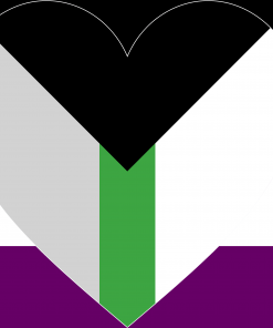 Demiromantic Asexual Pride Flag PN0112 2 - Lesbian Flag 2x3 ft (60x90 cm) / Vertical Official PAN FLAG Merch