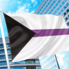 Demisexual Pride Flag PN0112 2x3 ft (60x90cm) / 2 Grommets left Official PAN FLAG Merch