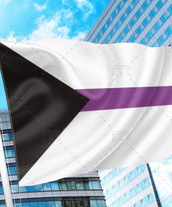 Demisexual Pride Flag PN0112 2x3 ft (60x90cm) / 2 Grommets left Official PAN FLAG Merch