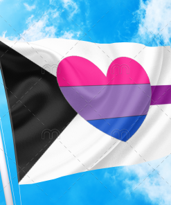 Biromantic Demisexual Flag PN0112 2 - Lesbian Flag 2x3 ft (60x90cm) / No Grommets Official PAN FLAG Merch