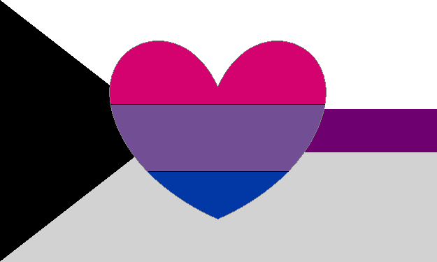 demisexual_biromantic 2x3 ft (60x90cm) / 4 Corner Grommets Official PAN FLAG Merch