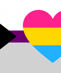 3x5 ft (90x150 cm) / 4 Grommets Official PAN FLAG Merch