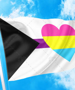 Demisexual Panromantic Pride Flag - Heart PN0112 3 - Lesbian Flag 2x3 ft (60x90 cm) / 2 Grommets left Official PAN FLAG Merch