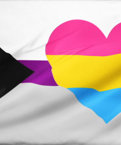 Demisexual Panromantic Pride Flag - Heart PN0112 2 - Lesbian Flag 3x5 ft (90x150 cm) / No Grommets Official PAN FLAG Merch