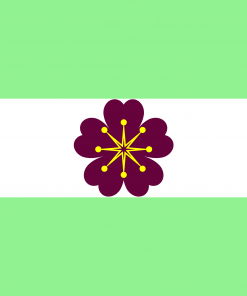 Diamoric Pride Flag PN0112 2x3 ft (60x90 cm) Official PAN FLAG Merch