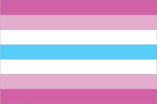 femboy 2x3 ft (60x90cm) / 4 Corner Grommets Official PAN FLAG Merch