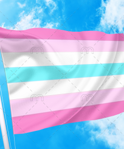 Femboy Flag PN0112 2 - Lesbian Flag 2x3 ft (60x90cm) / No Grommets Official PAN FLAG Merch