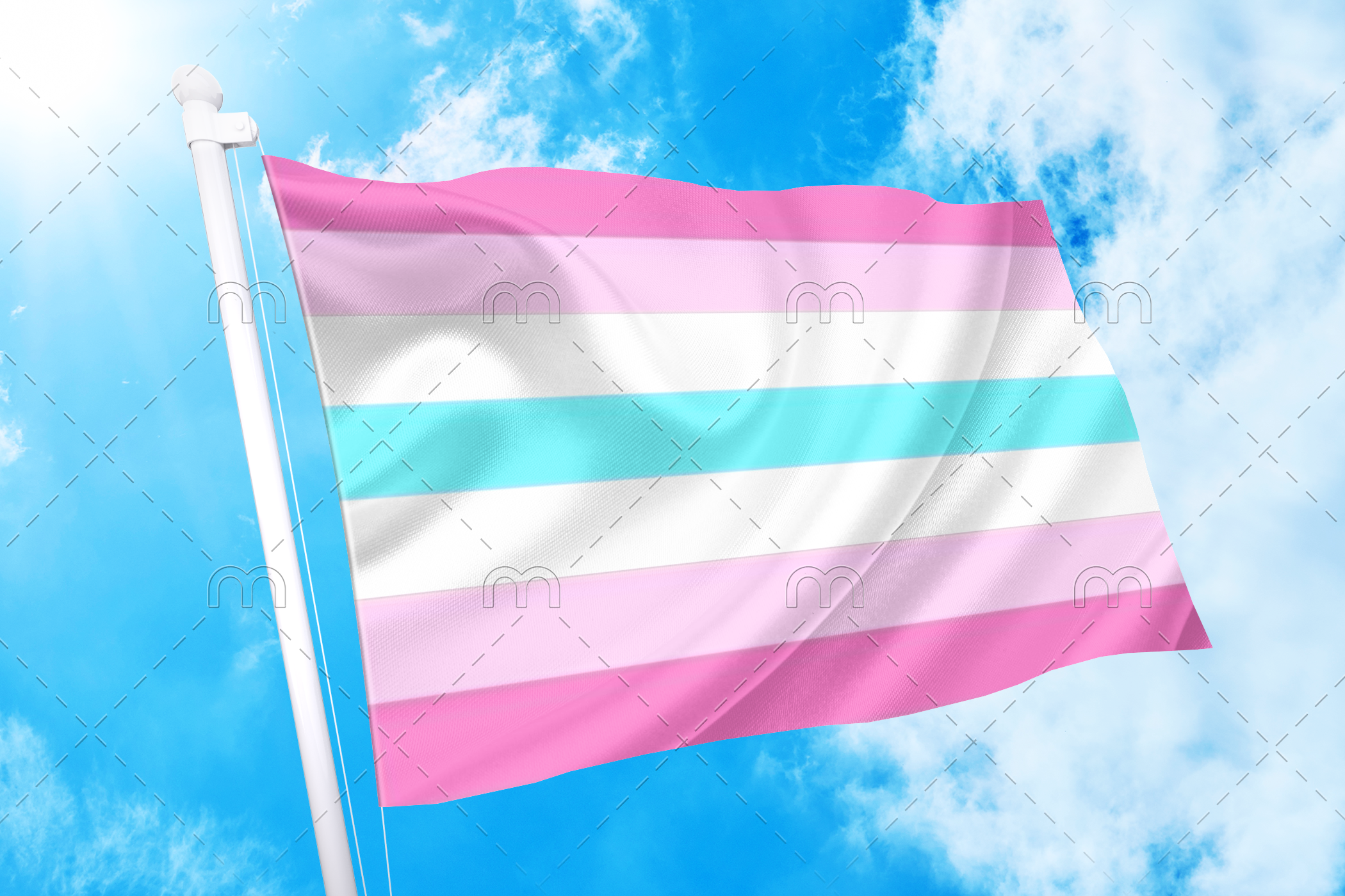 femboy1-1 2x3 ft (60x90cm) / No Grommets Official PAN FLAG Merch