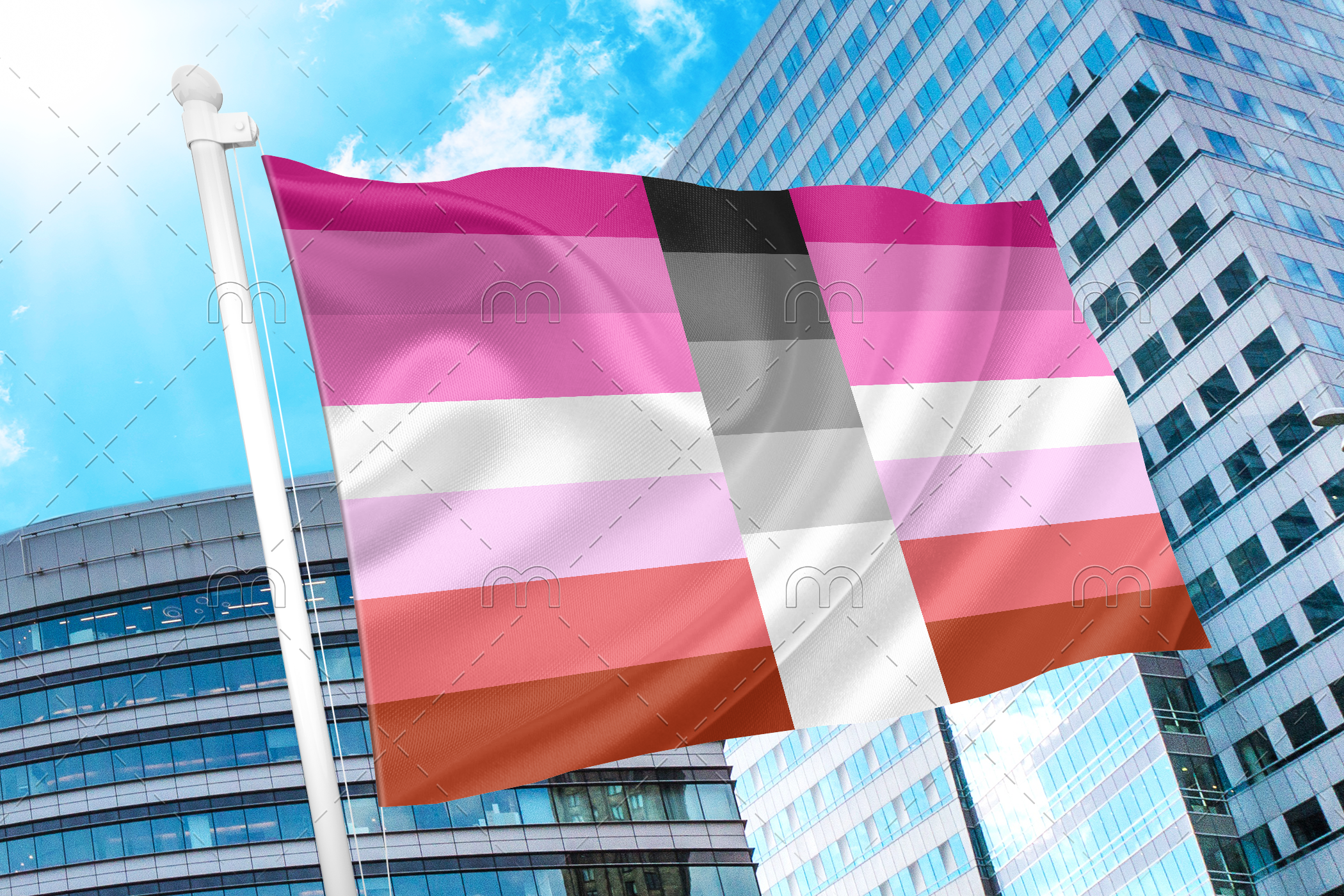 femhomo Female Homoflexible Flag PN0112 2x3 ft (60x90cm) / 2 Grommets Official PAN FLAG Merch