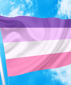 Femme Lesbian Pride Flag PN0112 2 - Lesbian Flag 2x3 ft (60x90cm) / No Grommets Official PAN FLAG Merch
