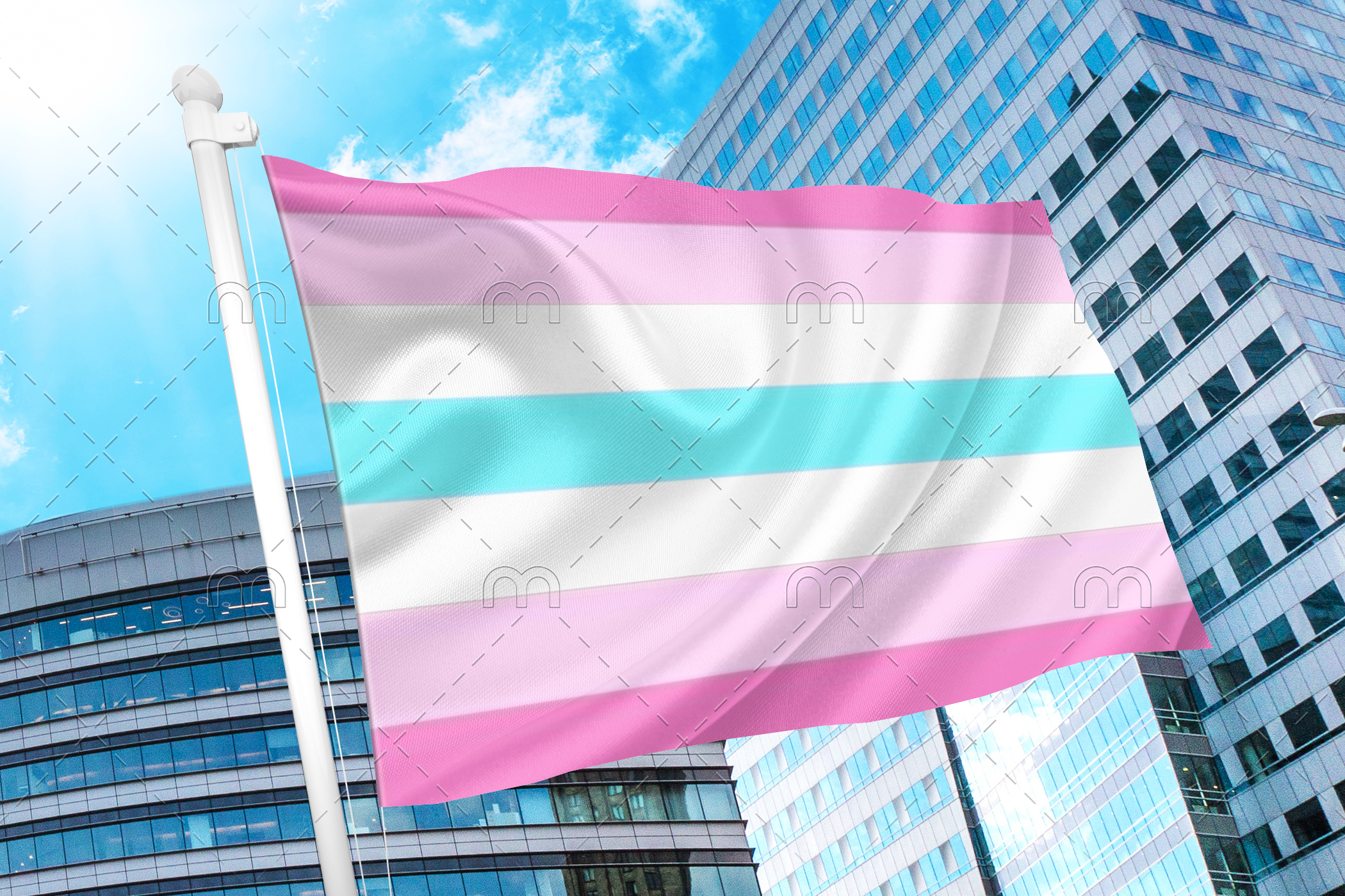 femmeboy Femboy Flag PN0112 2x3 ft (60x90cm) / 2 Left Grommets Official PAN FLAG Merch