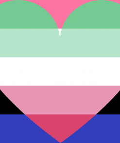 Genderfluid Abrosexual Pride Flag PN0112 2x3 ft (60x90 cm) Official PAN FLAG Merch