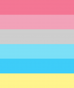 3x5 ft (90x150 cm) Official PAN FLAG Merch