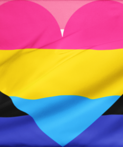 Genderfluid Pansexual Combo Pride Flag PN0112 2 - Lesbian Flag 2x3 ft(60x90 cm) / No Grommets Official PAN FLAG Merch