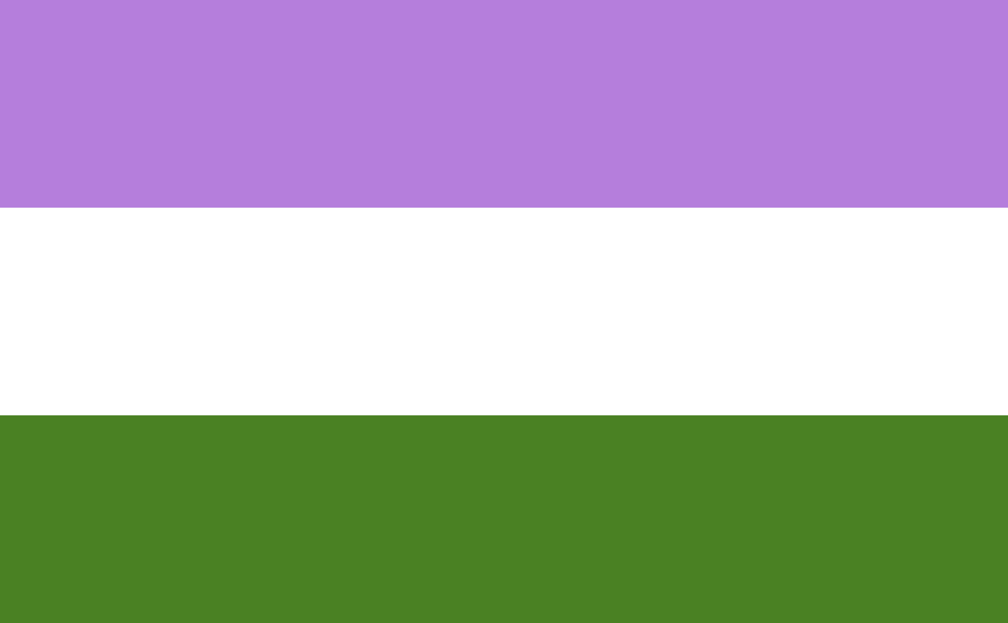 genqueer 2x3 ft (60x90cm) / 4 Grommets Official PAN FLAG Merch