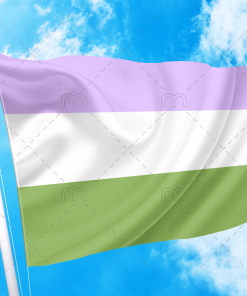 Genderqueer Pride Flag PN0112 2 - Lesbian Flag 2x3 ft (60x90cm) / No Grommets Official PAN FLAG Merch