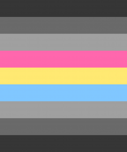 Gray Pansexual Pride Flag PN0112 2x3 ft (60x90 cm) Official PAN FLAG Merch