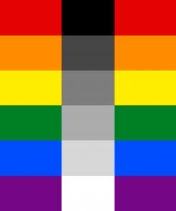 Homoflexible Pride Flag PN0112 2x3 ft (60x90 cm) / 2Grommets left side Official PAN FLAG Merch