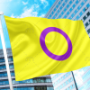 Intersex Pride Flag by Organization Intersex International Australia PN0112 3x5 ft (90x150cm) / 2 Grommets Official PAN FLAG Merch