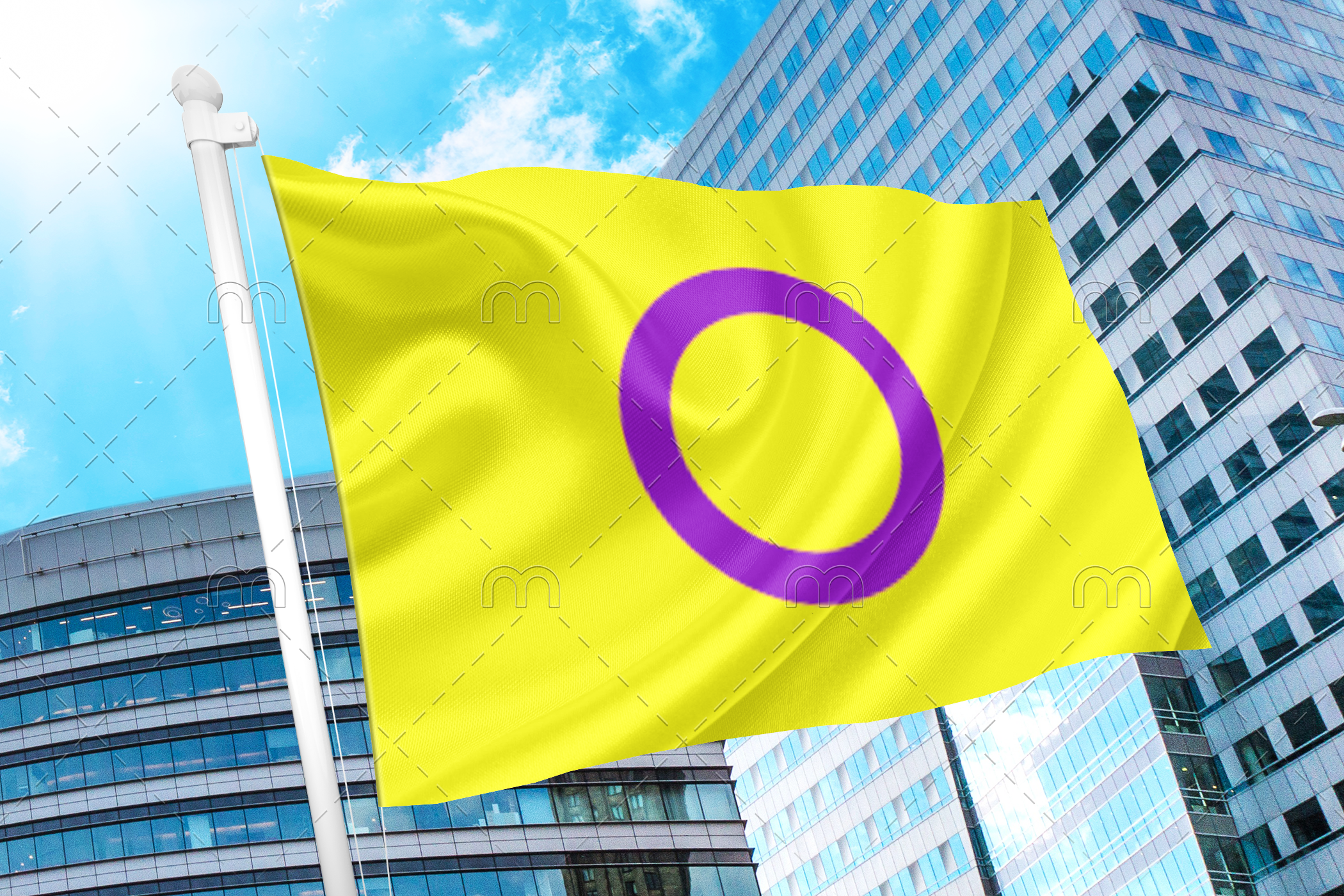 intersex2 Intersex Pride Flag by Organization Intersex International Australia PN0112 3x5 ft (90x150cm) / 2 Grommets Official PAN FLAG Merch