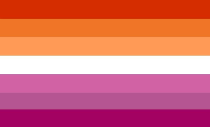 lesbian_combo 2x3 ft (60x90cm) / 4 Grommets Official PAN FLAG Merch
