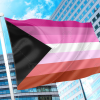 Lesbian Demisexual Flag PN0112 2x3ft (60x90cm) / 2 Grommets left Official PAN FLAG Merch