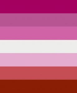 Lesbian Pride Flag PN0112 4 - Lesbian Flag 3x5ft (90x150cm) / 4 Grommets Official PAN FLAG Merch