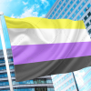 Non Binary Pride Flag PN0112 2x3 ft (60 x90 cm) / 2 grommets left Official PAN FLAG Merch