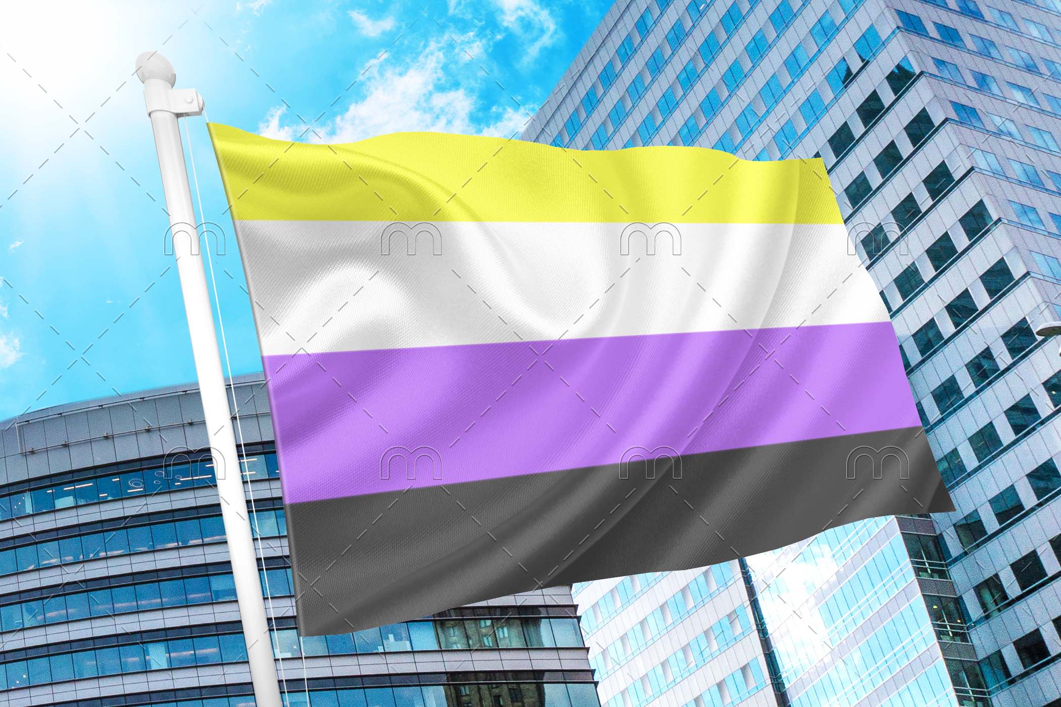 nonb Non Binary Pride Flag PN0112 2x3 ft (60 x90 cm) / 2 grommets left Official PAN FLAG Merch
