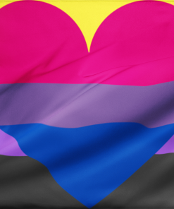 2x3 ft(60x90 cm) / No Grommets Official PAN FLAG Merch