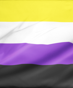 Non Binary Pride Flag PN0112 2 - Lesbian Flag 2x3 ft (60 x90 cm) / No grommets Official PAN FLAG Merch